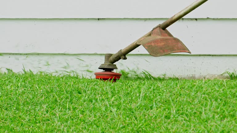 Best Lawn Maintenance Plans  in Kuna, ID