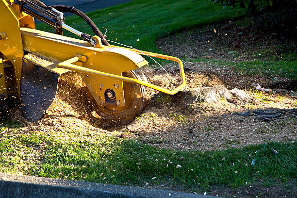 Best Mulching Services  in Kuna, ID